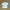 Orlo Knit White Top photo 1