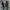 Dr martens 1460 greensmooth  photo 5