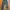 celana jeans photo 1