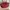 Coach Y2K Minimalist Shoulder bag Wanita burgundy red photo 7