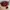 Coach Y2K Minimalist Shoulder bag Wanita burgundy red photo 2
