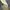Timberland Casual Loafer Pria cream photo 8