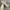 Timberland Casual Loafer Pria cream photo 1