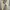 Timberland Casual Loafer Pria cream photo 4