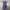 Polo Ralph Lauren Flower Pattern Midi Dress photo 7