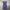 Polo Ralph Lauren Flower Pattern Midi Dress photo 1