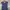 Polo Ralph Lauren Flower Pattern Midi Dress photo 8