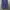 Polo Ralph Lauren Flower Pattern Midi Dress photo 3