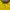 Kaos Black Yak Baselayer Kaos Outdoor Yellow Trekking Kaos O