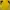 Kaos Black Yak Baselayer Kaos Outdoor Yellow Trekking Kaos O photo 3