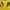 Kaos Black Yak Baselayer Kaos Outdoor Yellow Trekking Kaos O