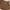 brown skort photo 2