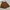 brown skort photo 1