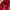 Nike Gorpcore Track jacket Pria red photo 6