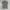 H&M Streetwear Casual Polo shirt Pria gray photo 1