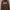 HOODIE DICKIES