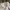 Uniqlo Streetwear Casual Casual shirt Pria cream photo 2
