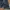 EST 1921 Flare Jeans Boot Cut photo 8