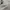 Zipper Hoodie Supreme Arc Thermal Logo Embroidery  photo 8