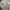 Zipper Hoodie Supreme Arc Thermal Logo Embroidery  photo 4