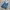 LEVIS 505 LONG PANTS DENIM photo 1
