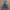Dickies Denim Overall Skirt  photo 5