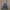 Dickies Denim Overall Skirt 