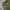Short Cargo / Cargo Pendek Mile photo 4