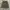 Short Cargo / Cargo Pendek Mile photo 1