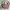 Hand Bag - Bags Women Longchamp 
