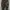 Celana Corduroy Pants Gramicci X XLarge 