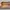 Alexander McQueen Women's Suede Ballet Flat photo 3