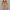 Alexander McQueen Women's Suede Ballet Flat photo 1