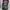 Topi Cap Florida The Sunshine State AOP American Crown photo 1