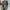 Topi Cap Florida The Sunshine State AOP American Crown photo 6