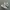 puma suede photo 1