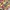Longchamp x Jeremy Scott Travel Canvas Le Pliage photo 2