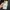 realme c75x photo 1