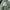 PROS By CH Cargo Pant photo 4
