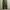 PROS By CH Cargo Pant photo 1