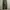 PROS By CH Cargo Pant photo 5