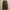 Uniqlo Wide Carpenter Pant