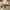 Converse CT 70s photo 7