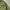 Us army alpha industries og-107 military shirt photo 3