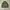 Us army alpha industries og-107 military shirt photo 1