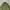 Us army alpha industries og-107 military shirt photo 2