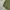 Us army alpha industries og-107 military shirt photo 5