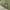 Us army alpha industries og-107 military shirt photo 6