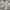 Stradivarius Coquette Casual Corset Wanita white photo 3