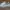 Vans Era Low Classic White photo 1